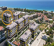 Трехкомнатная в Botanic Garden!